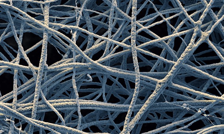 Wrapped in Graphene: The Tiny Fibres Making Biosensors Smarter