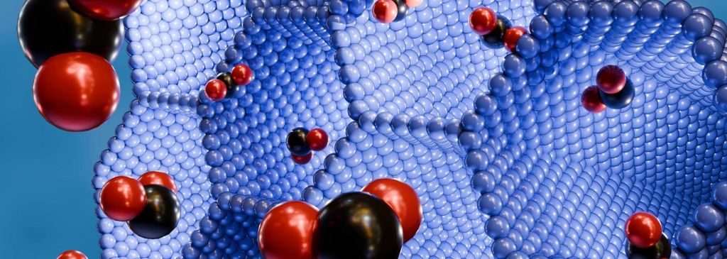 Nanoparticles Quietly Rethinking Organ&nbsp;Preservation
