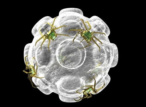 Using AI to Test&nbsp;Nanomedicine