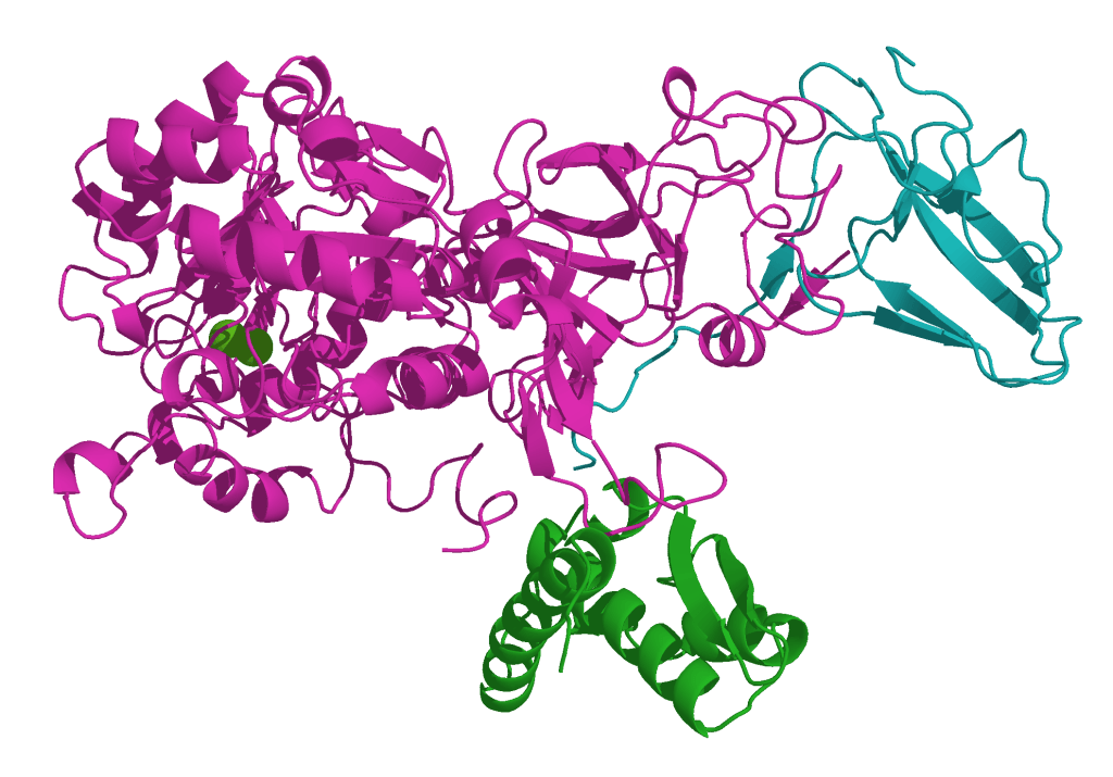 Nanobots That Swim on Wee: A New Approach to Bladder&nbsp;Cancer